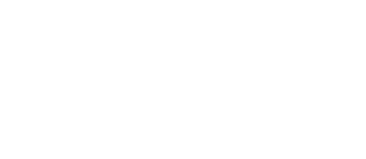 NAAIA member logo