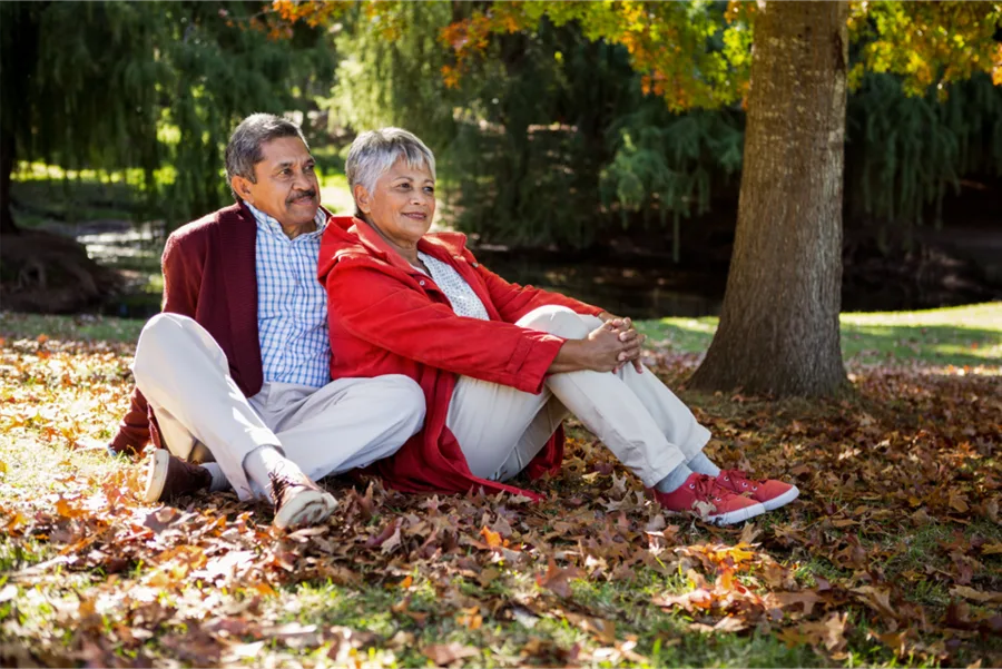 Medicare Solutions